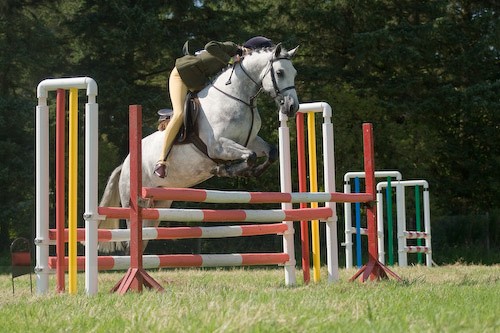 123 - Moniaive Horse Show 2008