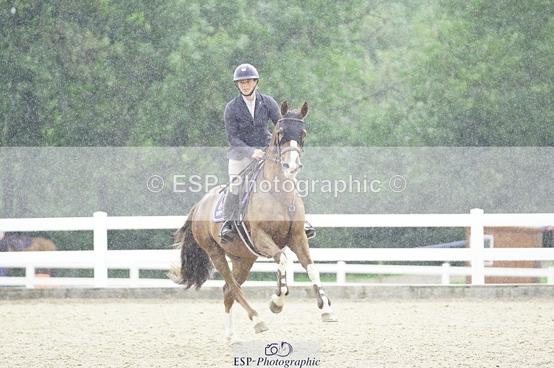 230729A-101132-04591 - Cls 20 British Novice & 90cm Open