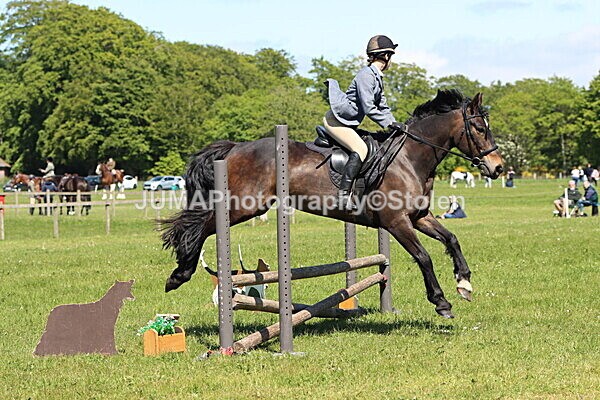 IMG_4011 - Working Hunter