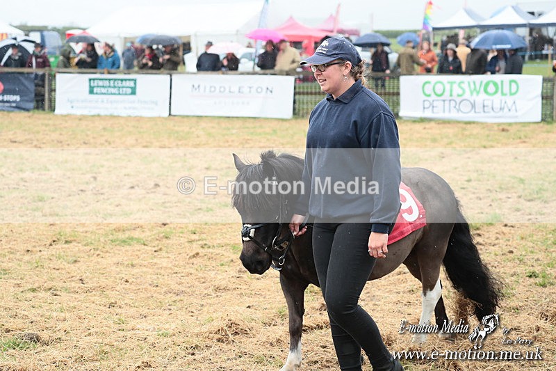 SHETPR 210425 11 - Shetland Ponies Paxford Races 21/04/25