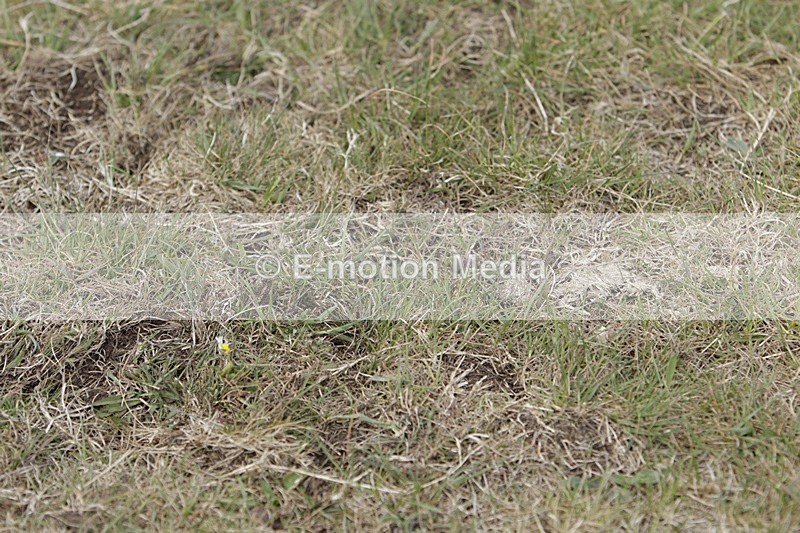 BVHT 140517 I-664 - Class 1 SJ Intermediate 14/05/17