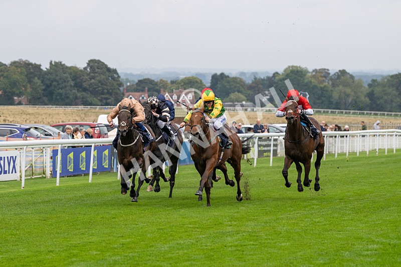 240924-Race 2-The Trickster-5913 - Race 2