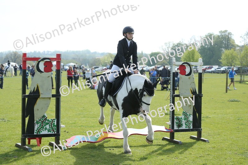 20260426-1466 - Class 14 - Novice 60cm