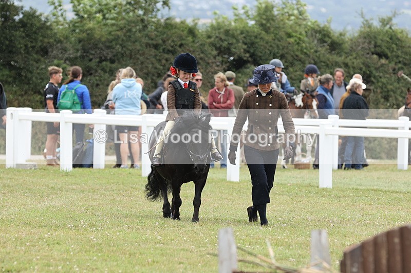 JPP_1722 - Class 18: Tiny Tots Working Hunter Pony