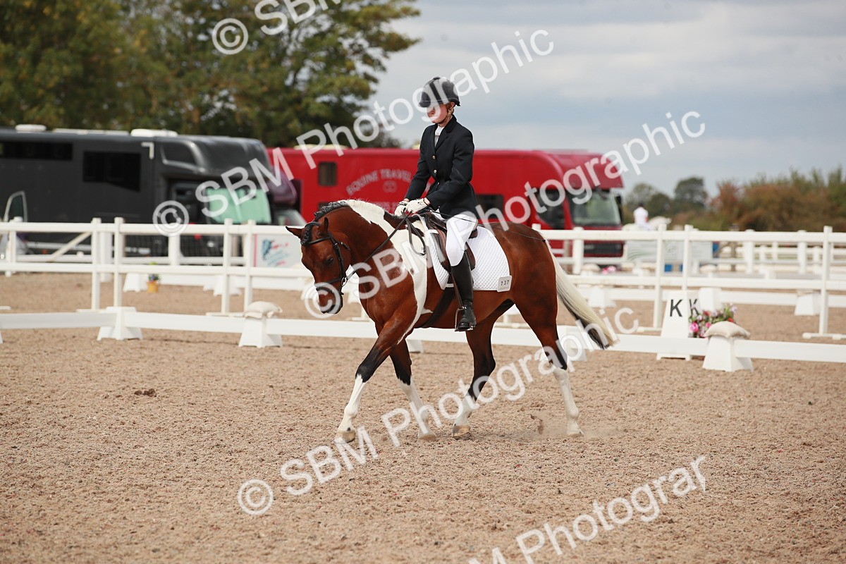 SBM_05916 - Class 32 - Novice 1