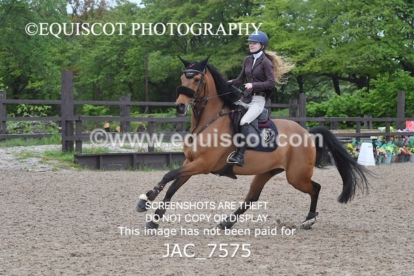 JAC_7575 - CLASS 14  Senior Newcomers/ 1.10m Open