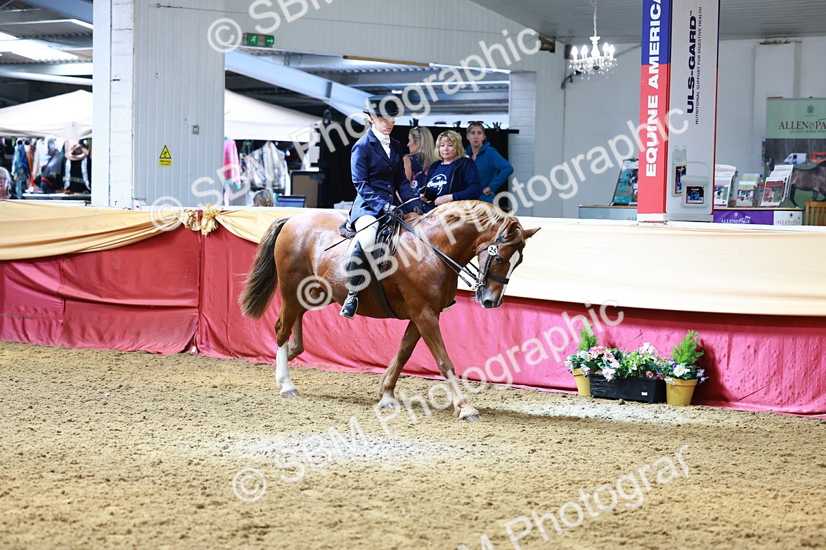 SBM_23183 - Class 904 - Supreme Final - Ridden Diamond