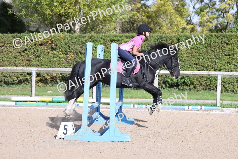 20251005-0306 - Class 3 - 60cm