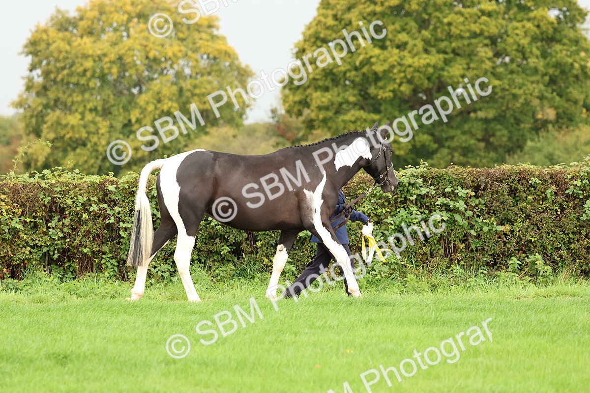 SBM_32910 - S8 - Best Turned Out
