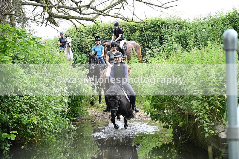 WJ7_1935 - Camera 2 Water Crossing