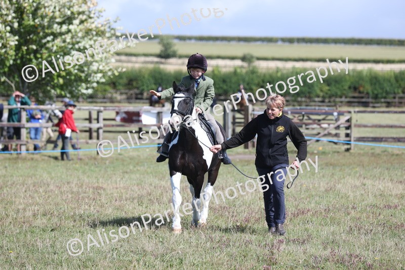 20250831-2504 - Class 16 - Family Pony