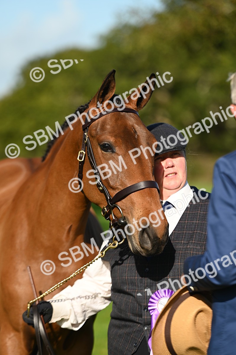 SBM_15809 - S1 - TSR in Hand Horse & Pony Showing