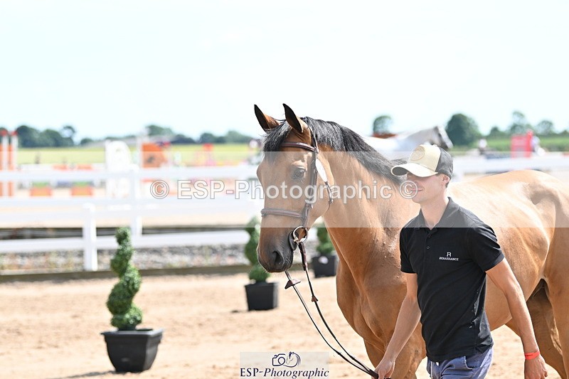 240717A-151549-02696 - Trot Up 3pm to 4pm