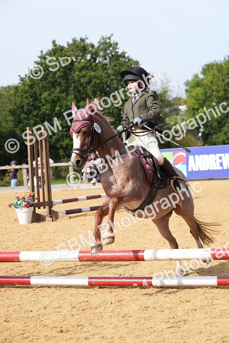 SBM_68392 - J3 - Mini Tour Junior Pony 40cm Championship