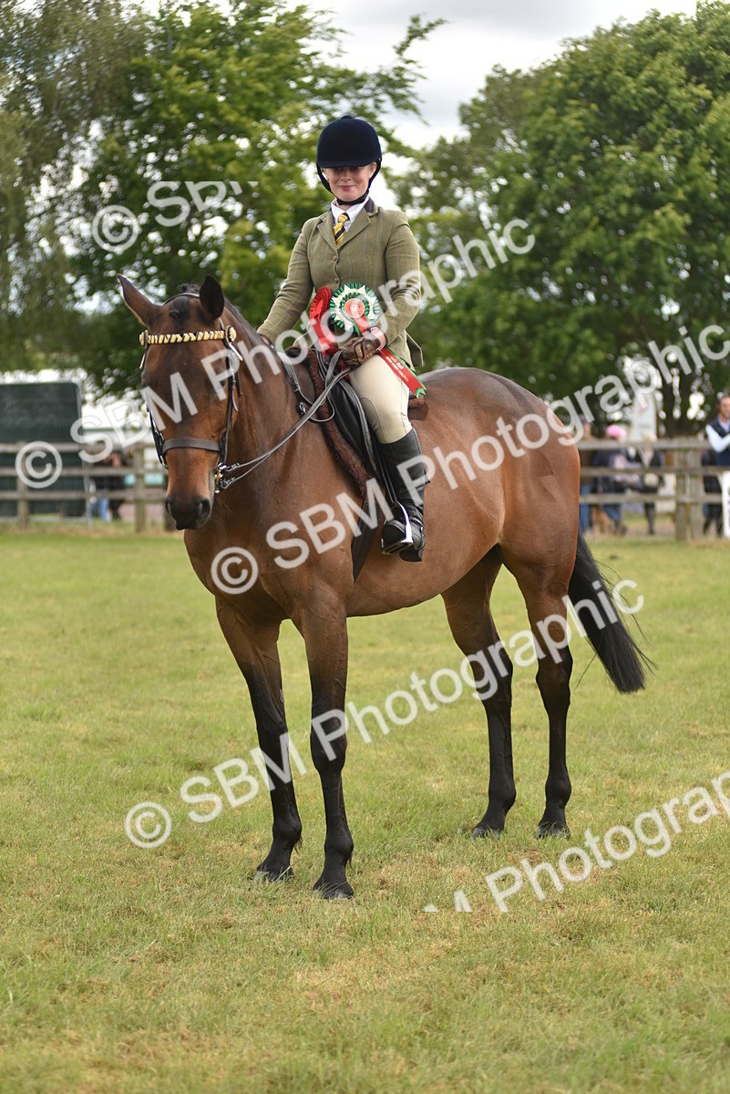 SBM_15134 - Class 113-114 - Retraining of Racehorses Ridden