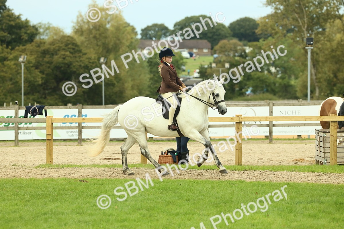 SBM_72018 - S60 - Mountain & Moorland Ridden Large Breeds