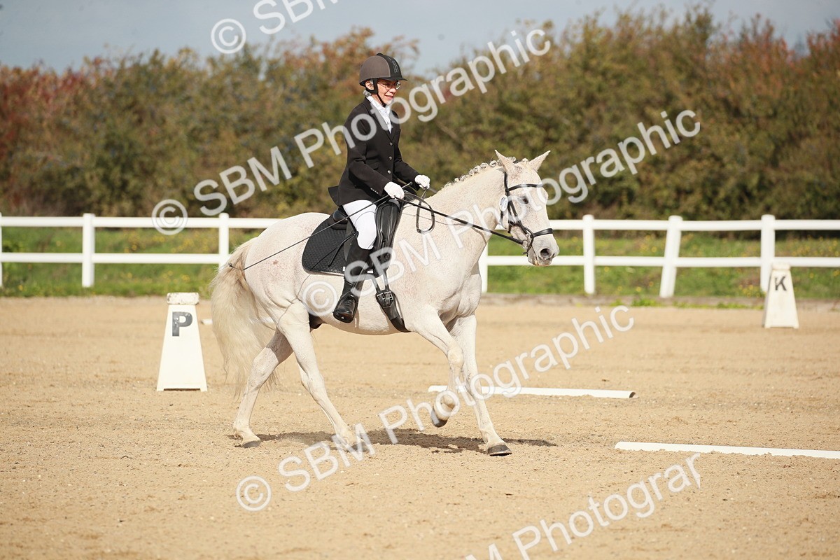 SBM_001785 - Class 4 - Novice 5