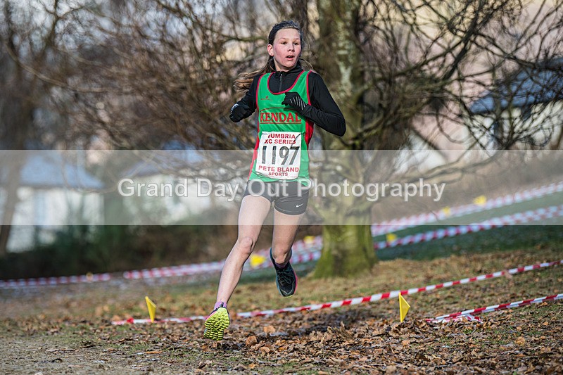 Cumbria XC-265 - Cumbria Cross Country Championships (Junior & Senior Races) Saturday 3rd January 2026
