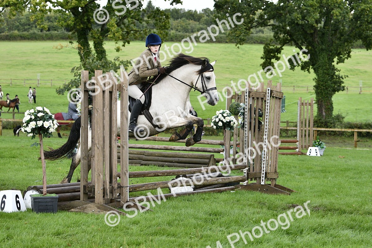 SBM_41523 - S32 - Mountain & Moorland Working Hunter Pony