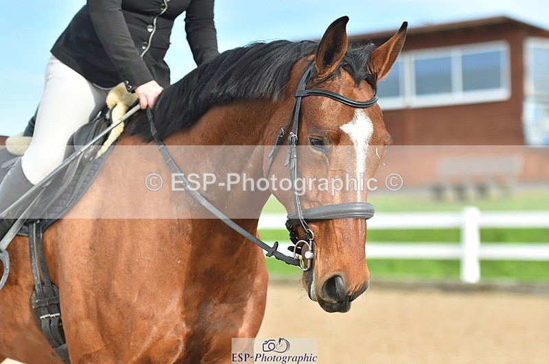 231111A-125426-01984 - Cls 12 Newcomers & 1.10m Open