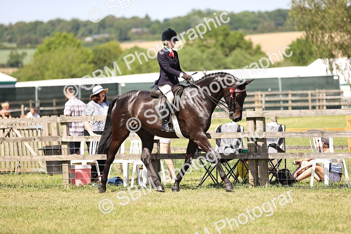 SBM_17969 - Class 81-83 - TSR Ridden Amateur of the Year - Horses