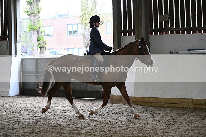 WJ7_3780 - Class 17 Ridden Cob