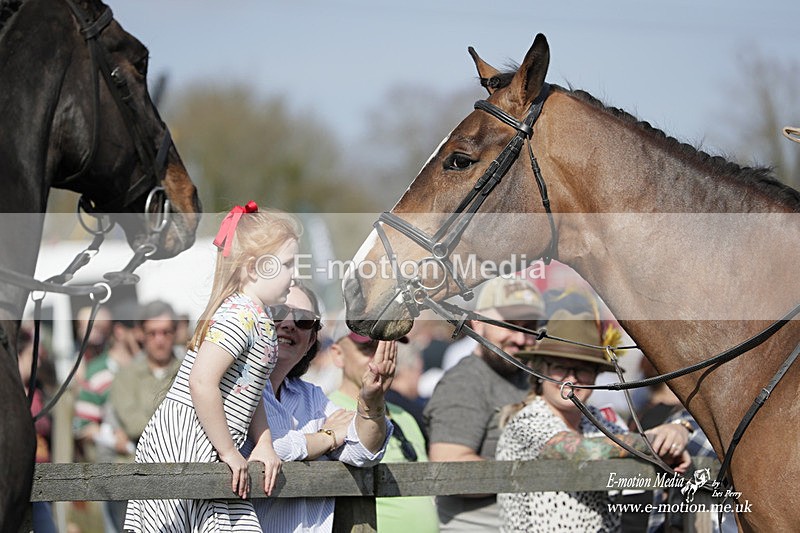 PtP 080423 484 - Dingley Races The Woodland Pytchley Hunt PtP 08/04/23