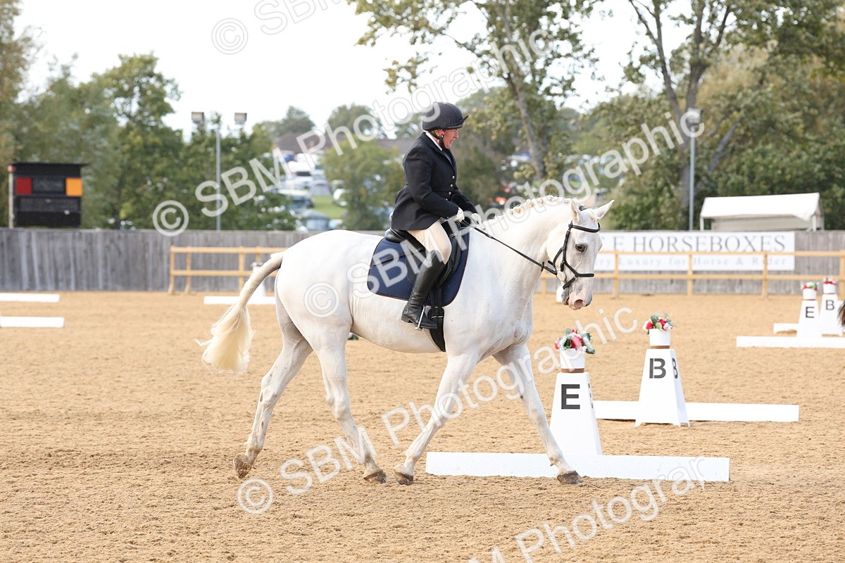 SBM_28282 - D20 - Grand Tour Championship Elementary 3