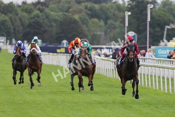 yr24092021r5-16 - Race 5 3.50pm William Hill Leading On Course Bookmaker Stakes
