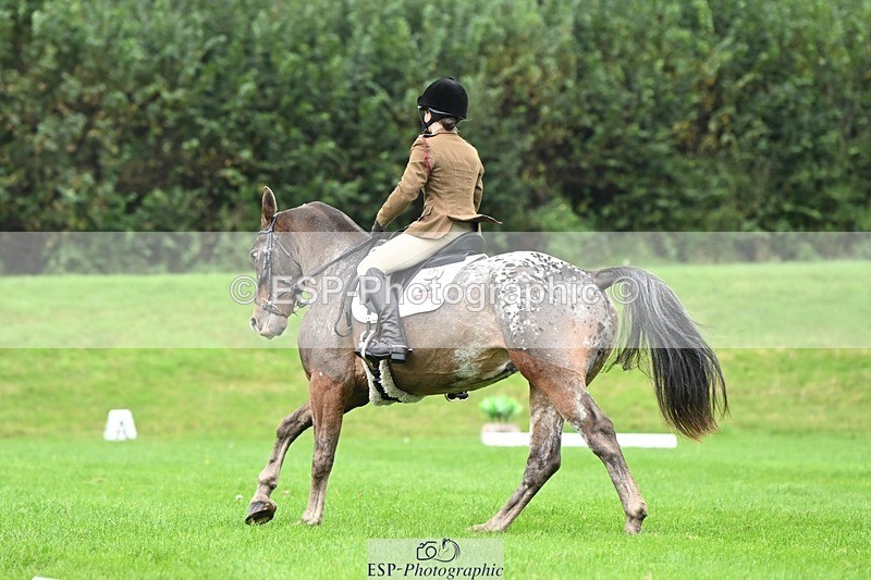 241024-105328-03087 - 501-Captain.Holly.Day-MUSTANG