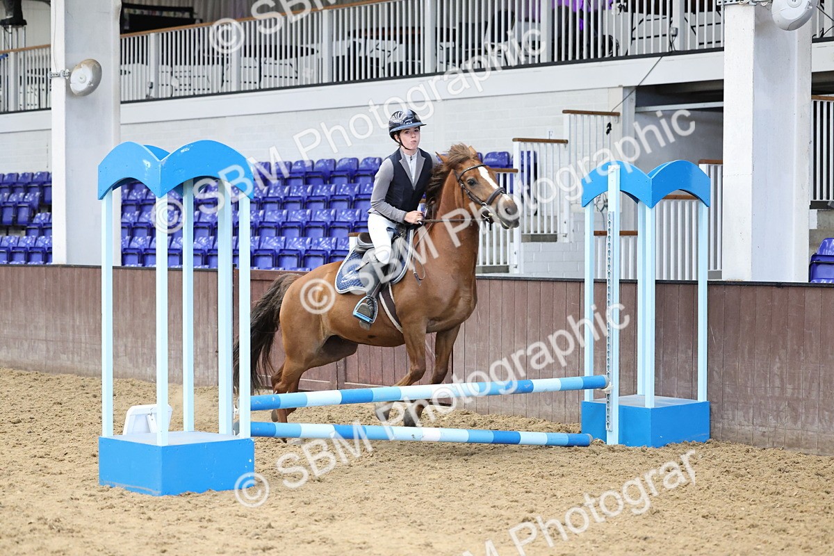 SBM_007781 - Class 3 - 60cm showjumping