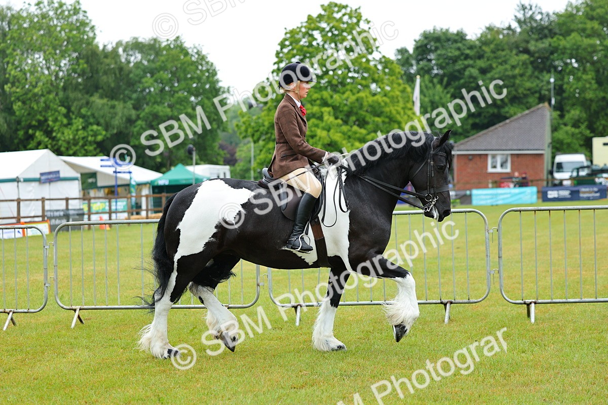 SBM_00880 - Class 1-4 - BSPA Ridden