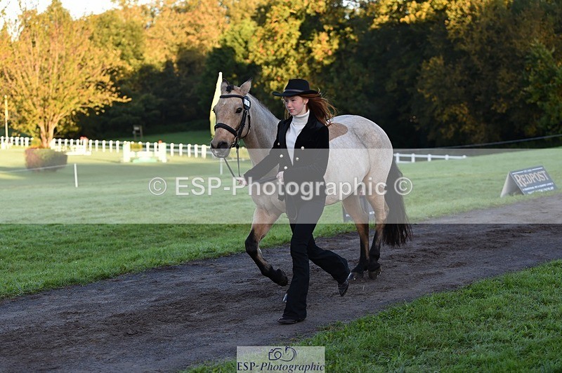 231022-084754-21365 - 661-MYSHALL.ROBBY-Poppy.Turriff-TrotUp+SJ