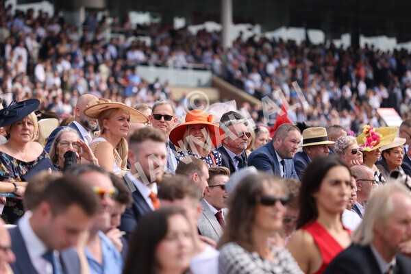 yr20082021r2-46 - Race 2 2.25pm Weatherbys Hamilton Lonsdale Cup (British Champion Series race)
