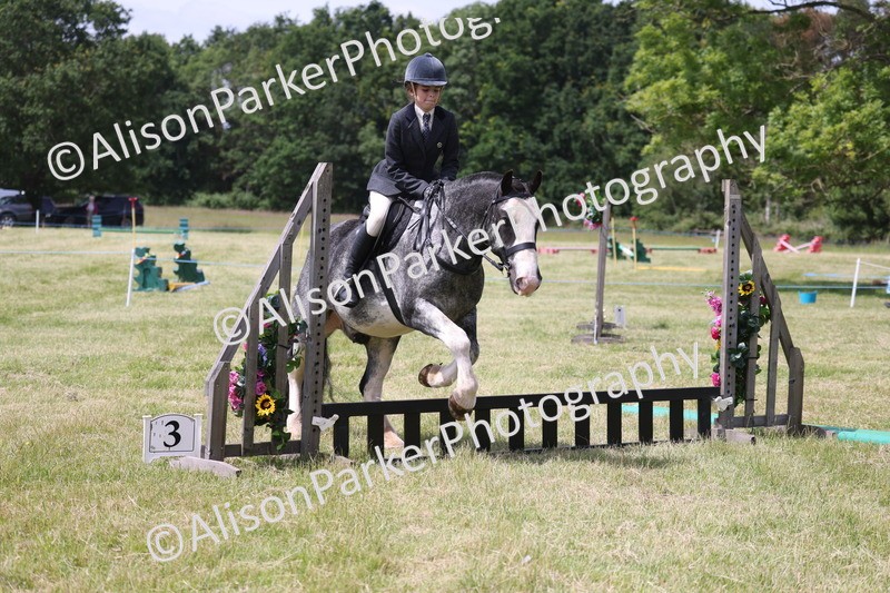 20260614-1963 - Class 21 - Novice Working Hunter Pony