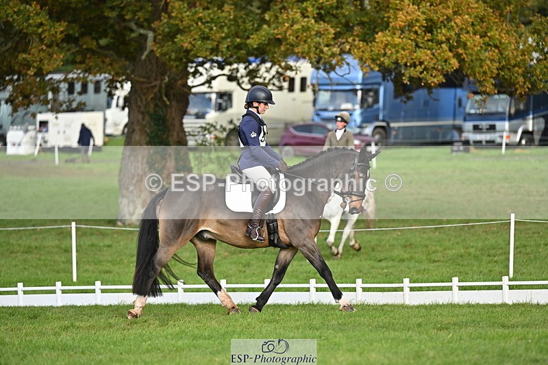 251024A-102015-08287 - G-555-Molly.Swain