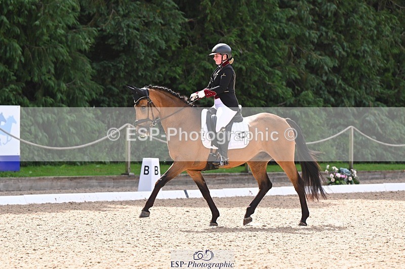 240809-104414-00374 - 173-Daisy.Winkle-Decandro.Hit.LDS