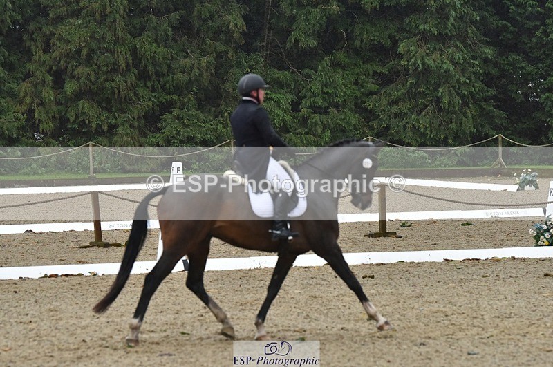 231018-153618-00826 - 011-BIG.QUERLYBET.K.Z-Paul.Whitehead-DR