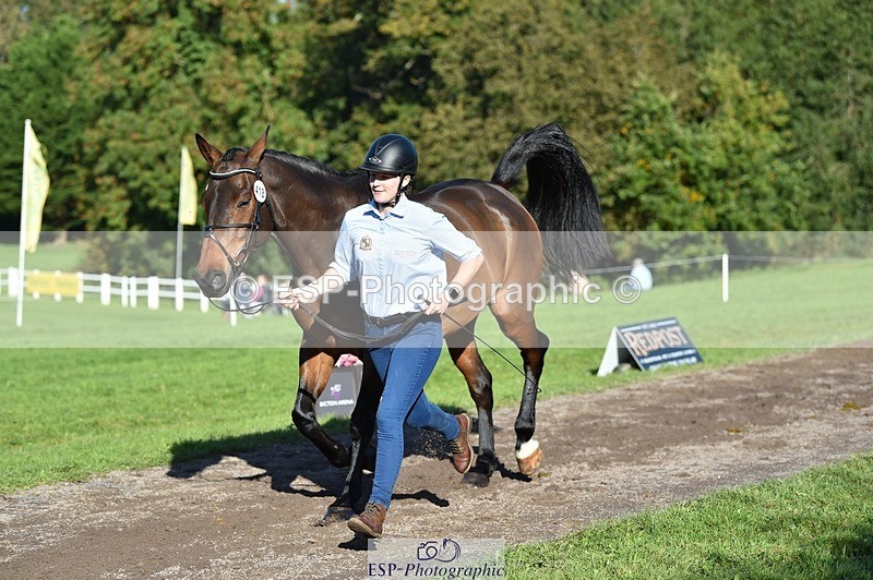 231022-105518-23590 - 418-PENHILL.REX-Lesley.Mitton-TrotUp+SJ