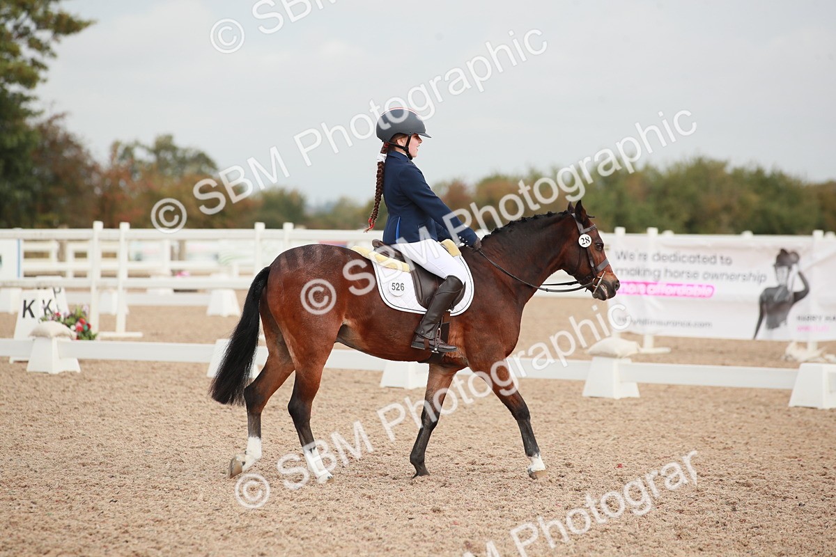 SBM_02510 - Class 30 - Intro 1