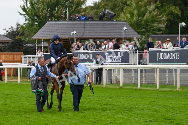 210824-Race 4-City Of Troy-5164 - Race 4 3.35pm Juddmonte International Stakes