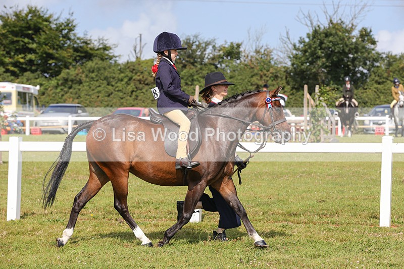 1X9A3575 - Class 29: Lead Rein SP/SHP