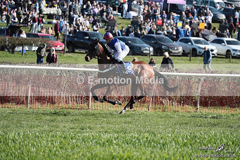 PtP 210326 272 - VWH Cirencester Races 21/03/26