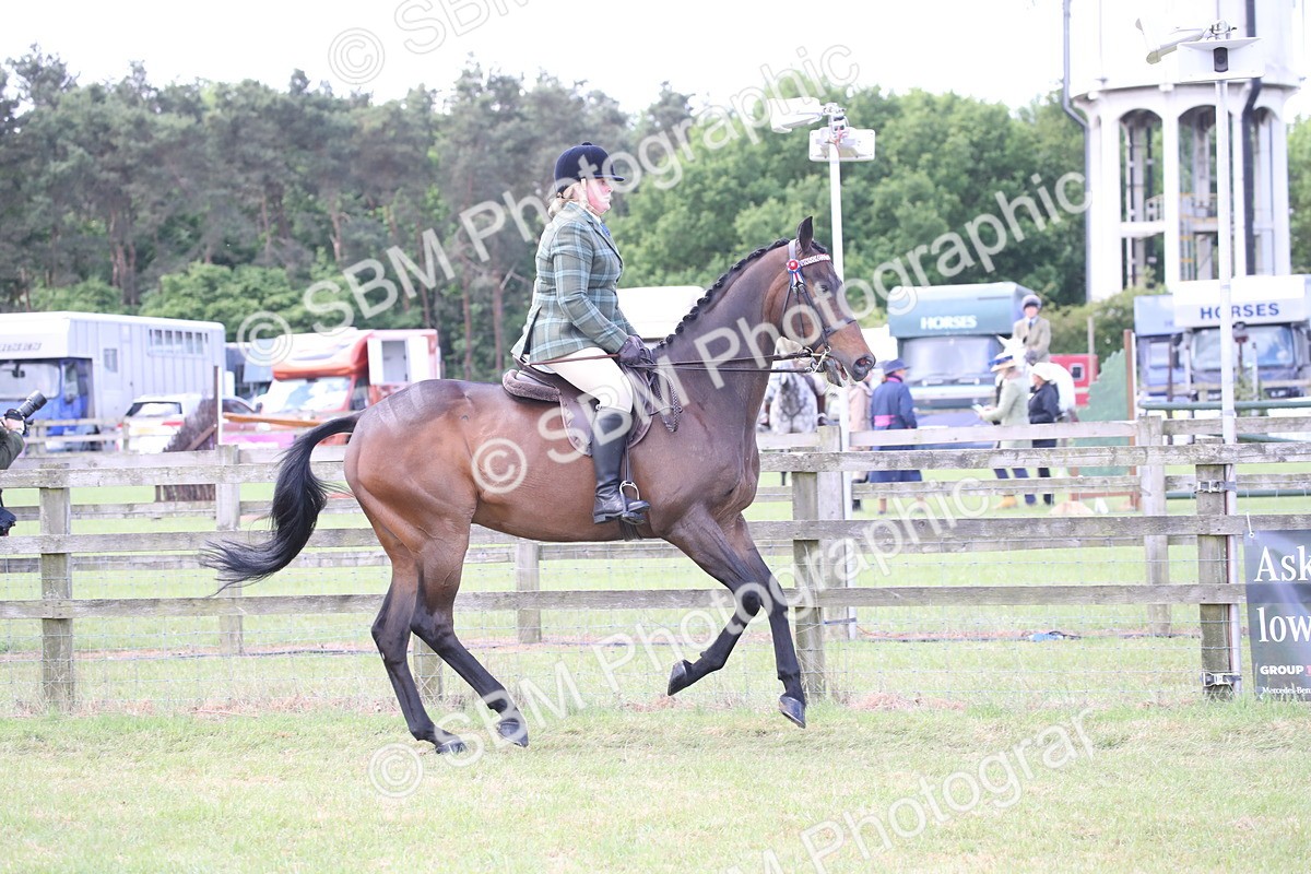 SBM_14192 - Class 113-114 - Retraining of Racehorses Ridden