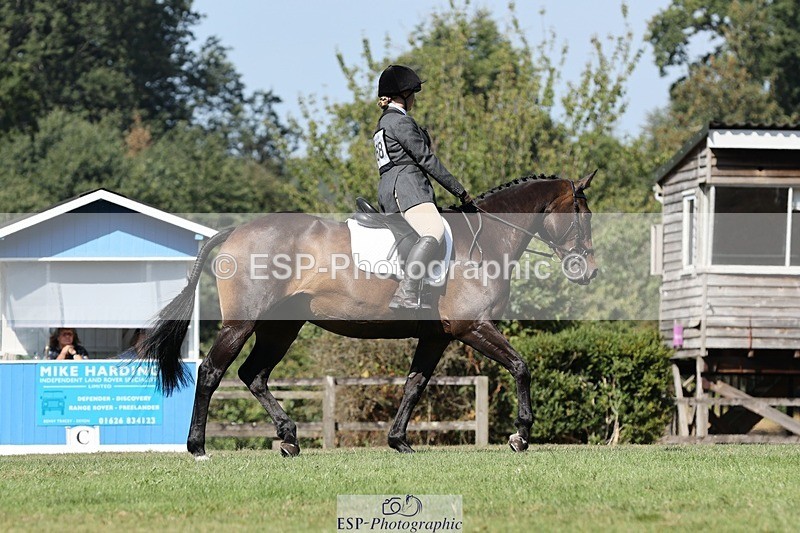 250823A-111112-27893 - Arena D