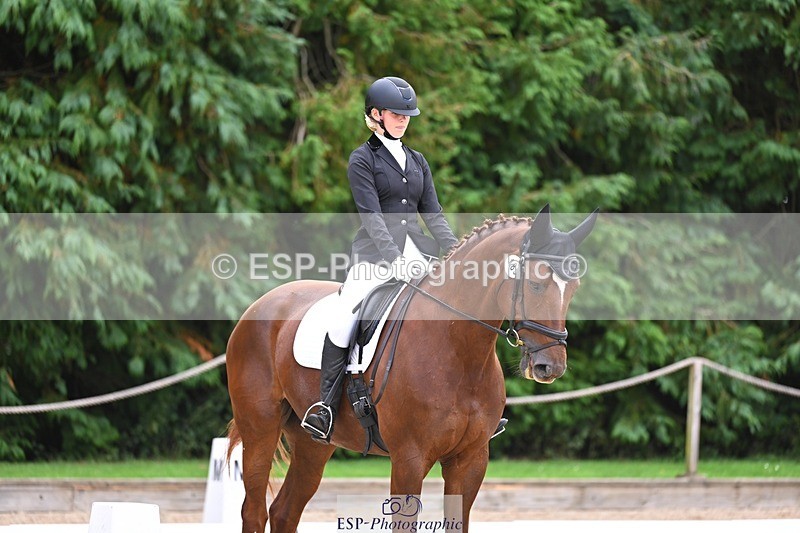 240809-121710-00730 - 185-Daisy.Hedges-Felicia.v