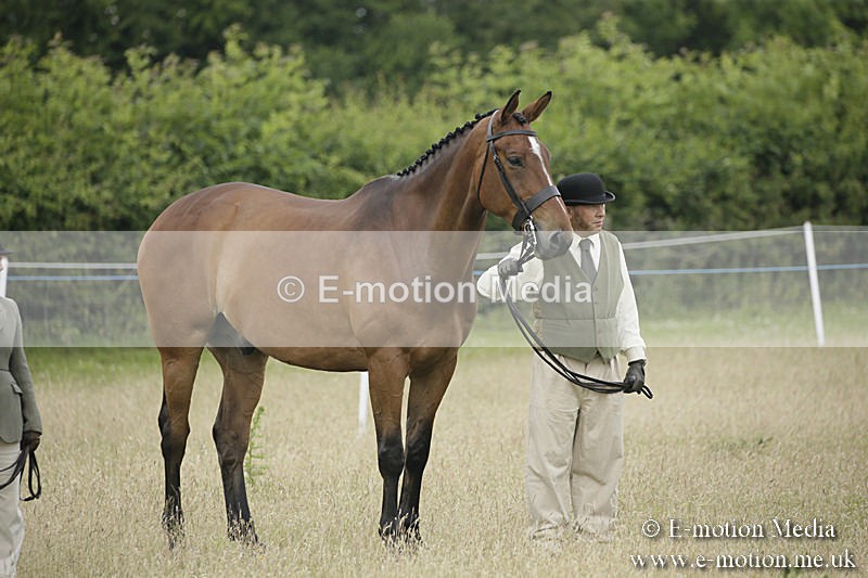 B230619-0279 - Bourne Valley Riding Club Summer Show 23/06/19