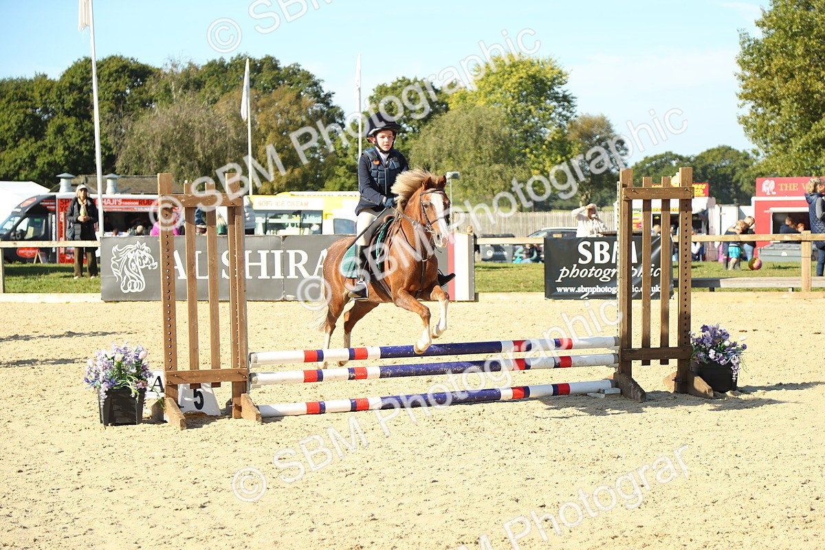 SBM_35915 - J5 - Junior Pony 50cm Championship