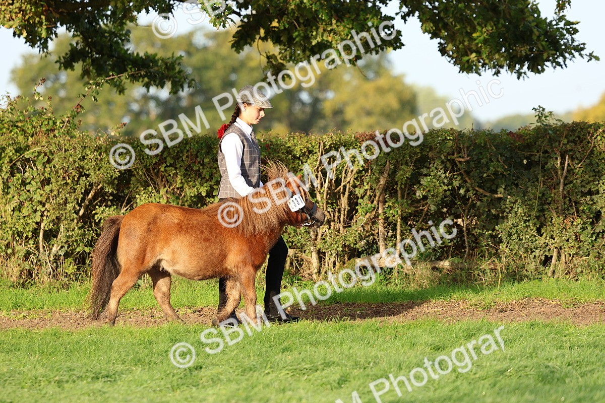 SBM_54751 - S39 - Starters In Hand Showing