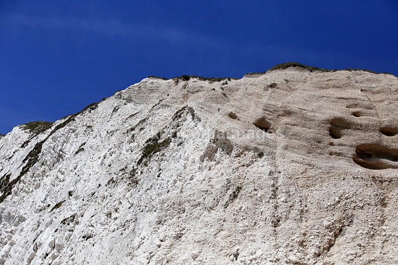 IMG_1859 - Out N about